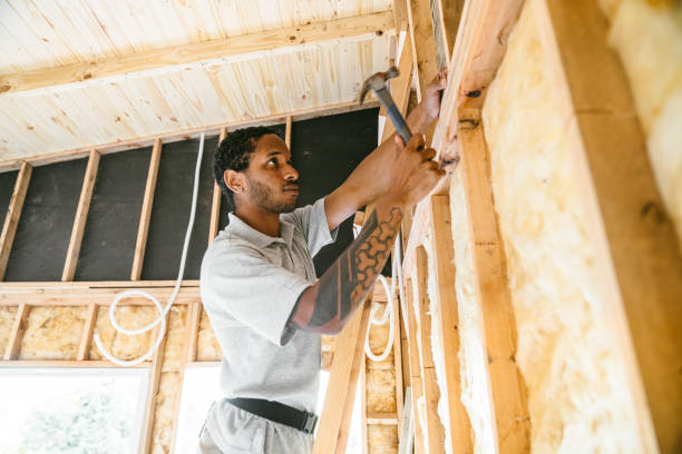 Best Blown-in Insulation  in Warren Park, IN