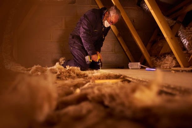 Best Spray Foam Insulation  in Warren Park, IN